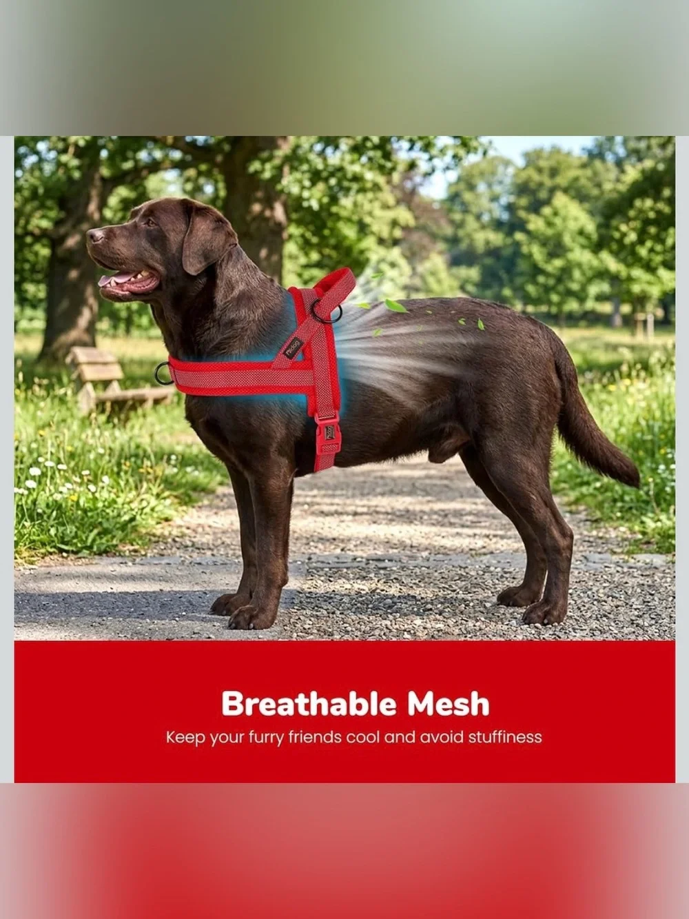 Didog No Pull Dog Harness for Large Dogs, Breathable Mesh Padded, Red, L